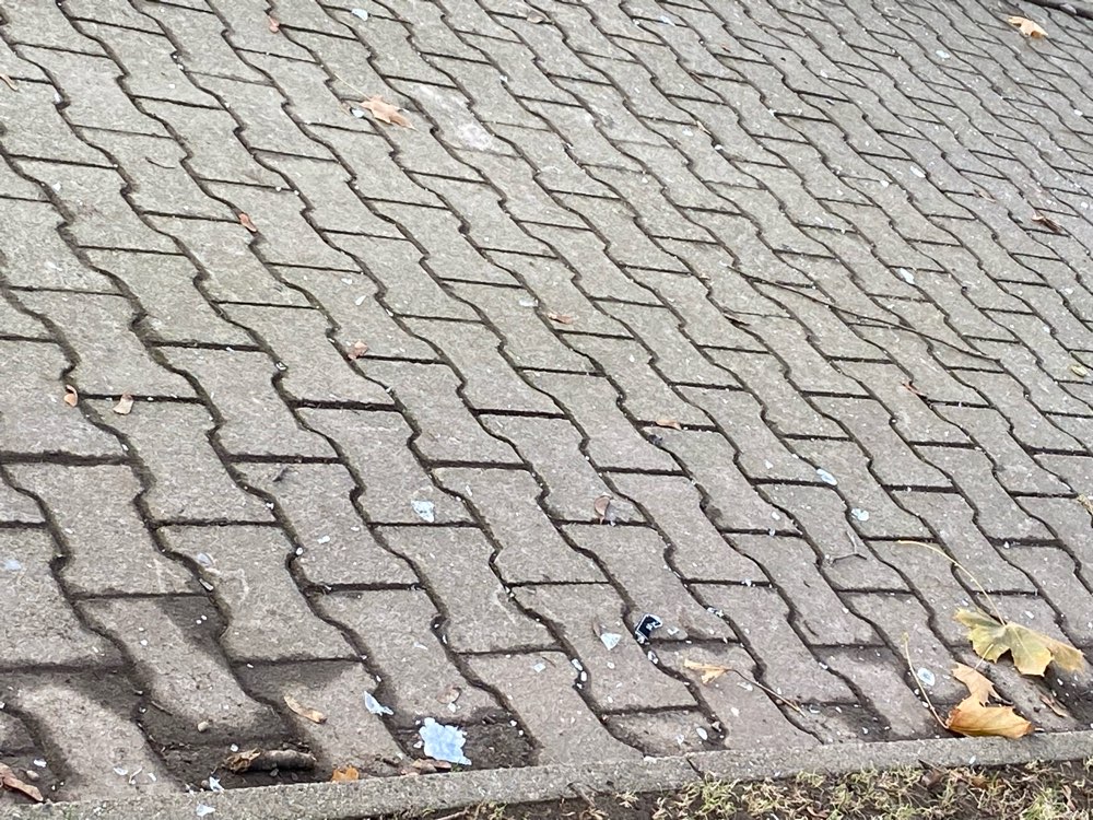 Giftköder-Glasscherben und Splitter-Profilbild