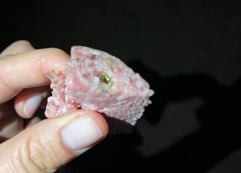 Giftköder-Futter mit Nägel gespickt-Profilbild