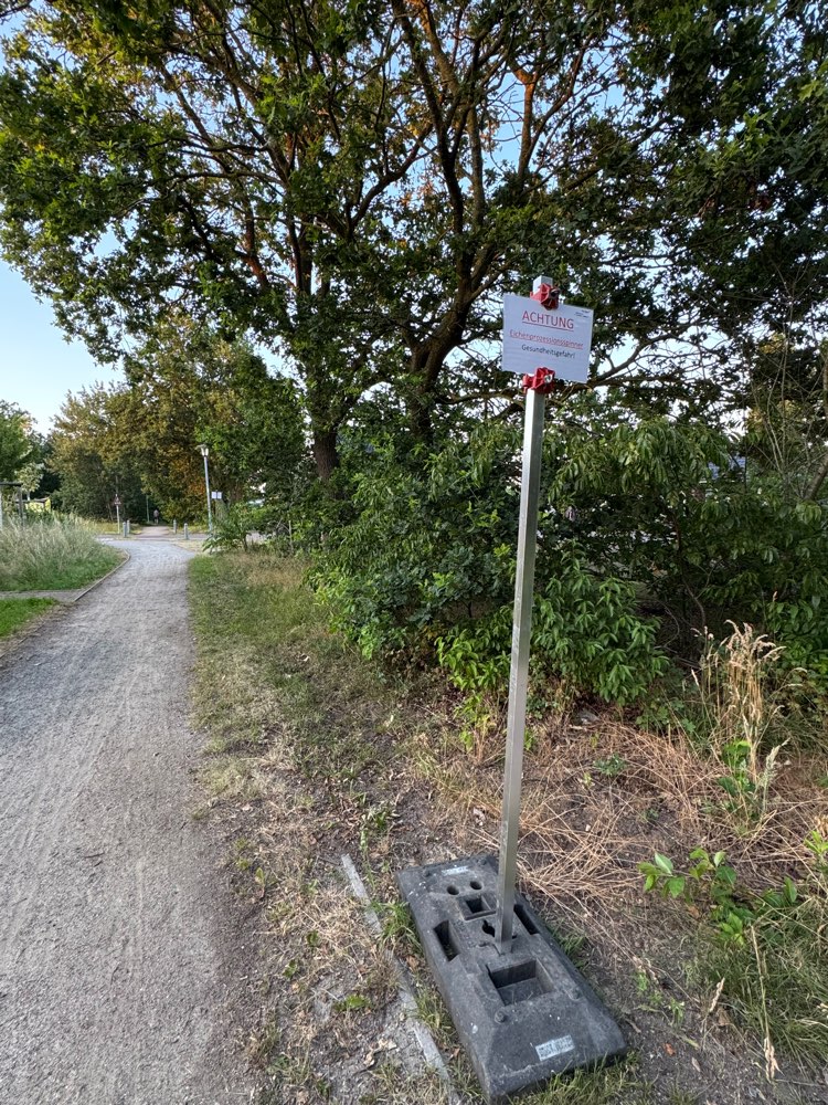 Giftköder-Eichenprozessionsspinner-Profilbild