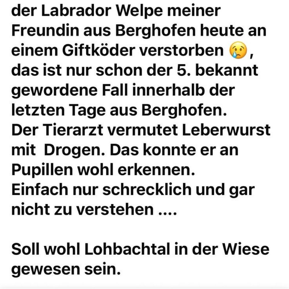 Giftköder-Giftköder-Profilbild