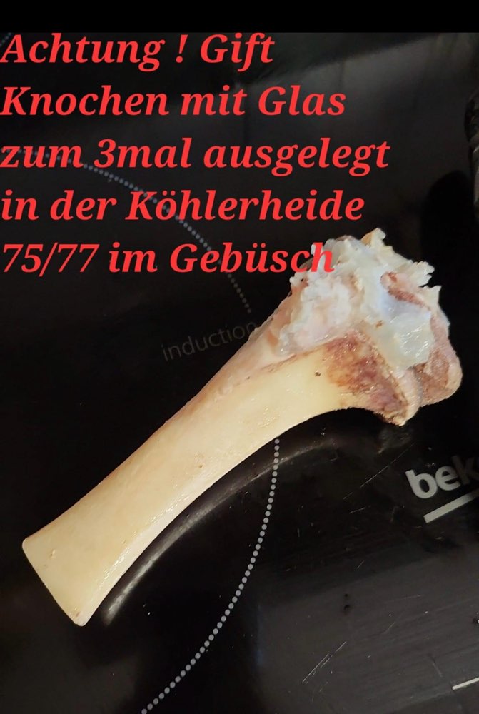 Giftköder-Knochen mit Glas-Profilbild