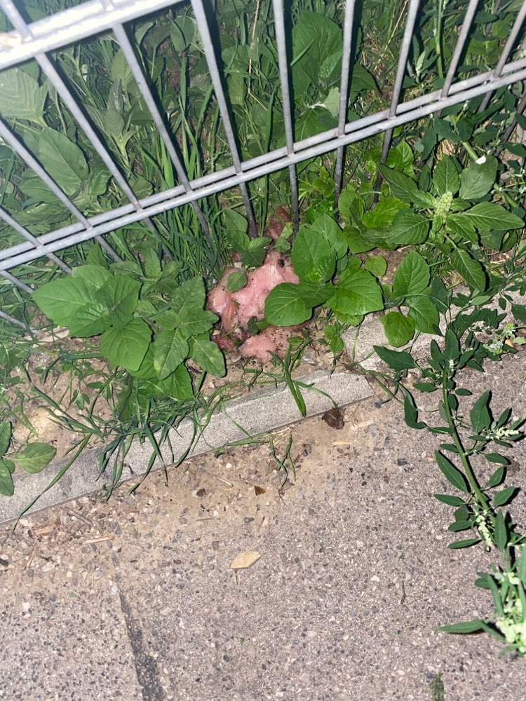 Giftköder-Hühnerfleisch-Profilbild