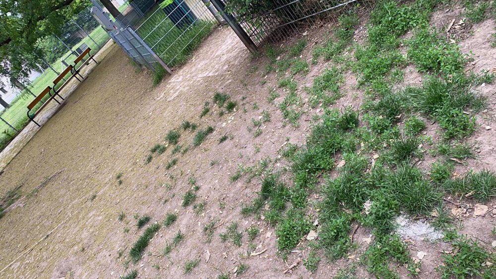 Giftköder-Weiße Pulversubstanz-Profilbild