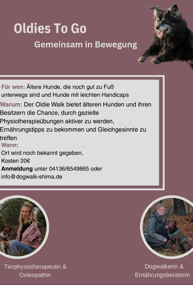 Hundetreffen-Oldies to Go Treffen für alte Hunde-Profilbild