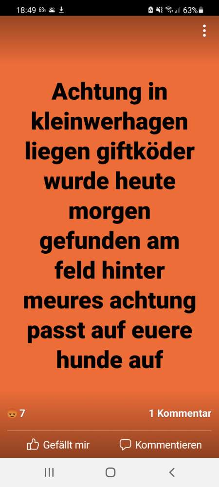 Giftköder-Giftköder-Profilbild