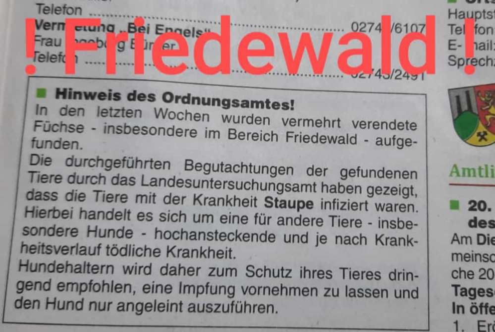 Giftköder-Tote Füchse - STAUPE-Profilbild