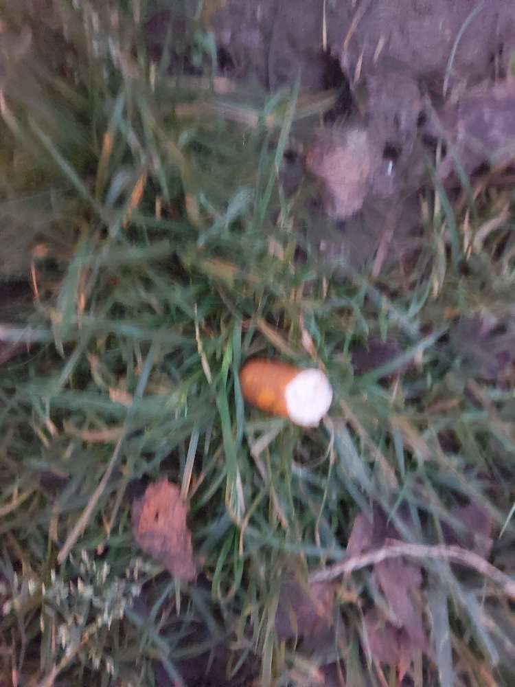 Giftköder-vermutlicher giftköder-Profilbild