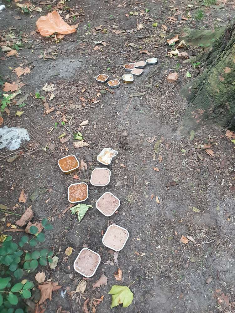 Giftköder-Möglicher Giftköder-Profilbild