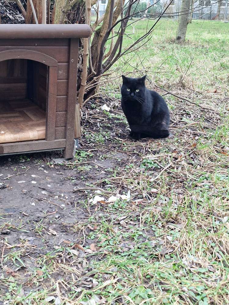 Giftköder-GIFTKÖDER an Futterstelle-Profilbild