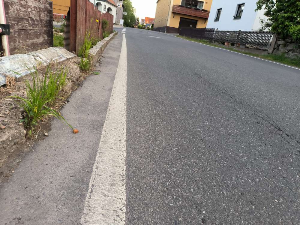 Giftköder-Würstchenteile-Profilbild