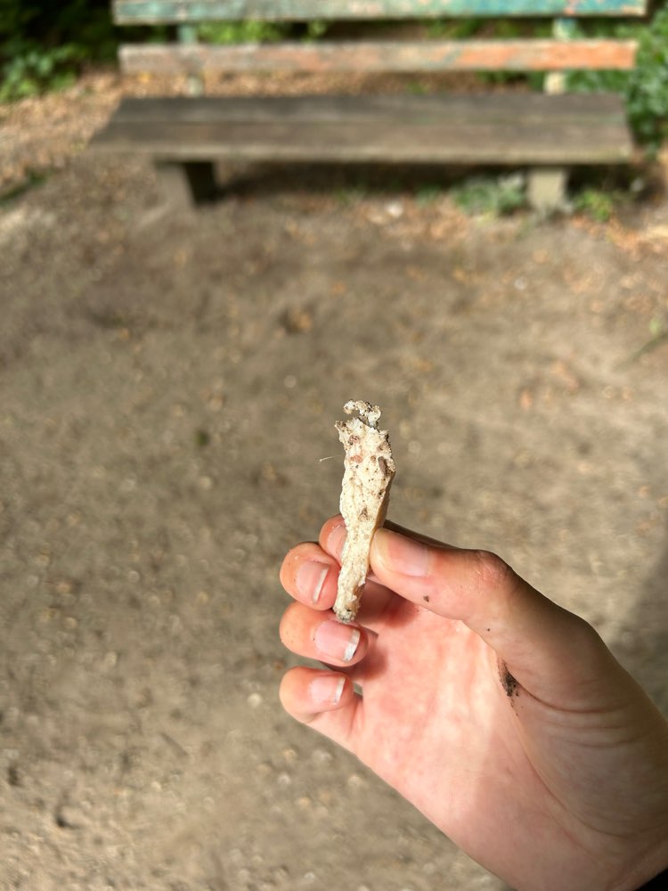 Giftköder-Gekochtes Hühnchenfleisch-Profilbild