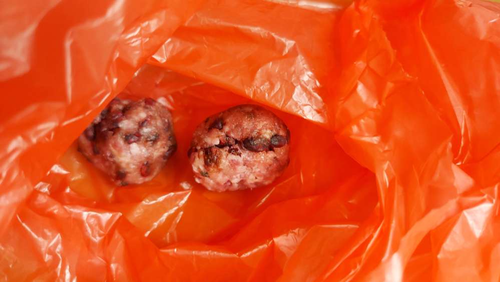 Giftköder-Giftköder-Profilbild