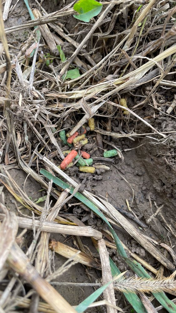 Giftköder-Bunte Gift Pellets im Feld-Profilbild