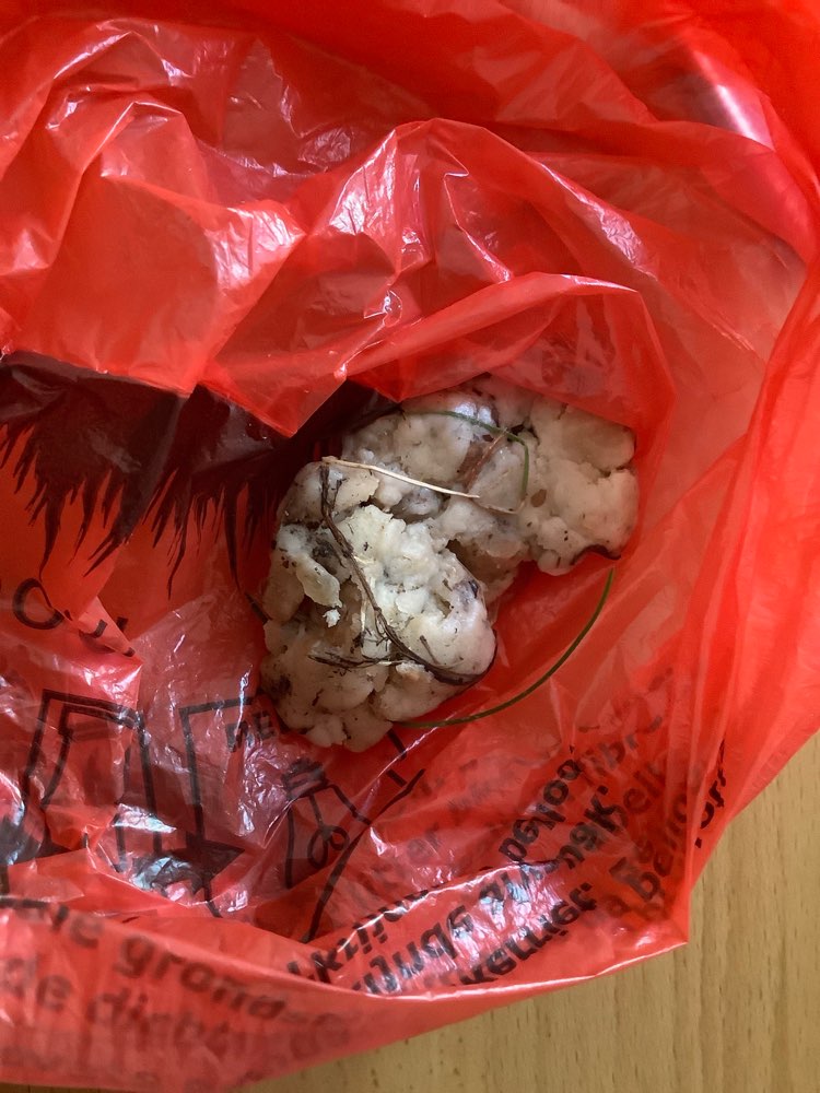 Giftköder-Giftköder-Profilbild