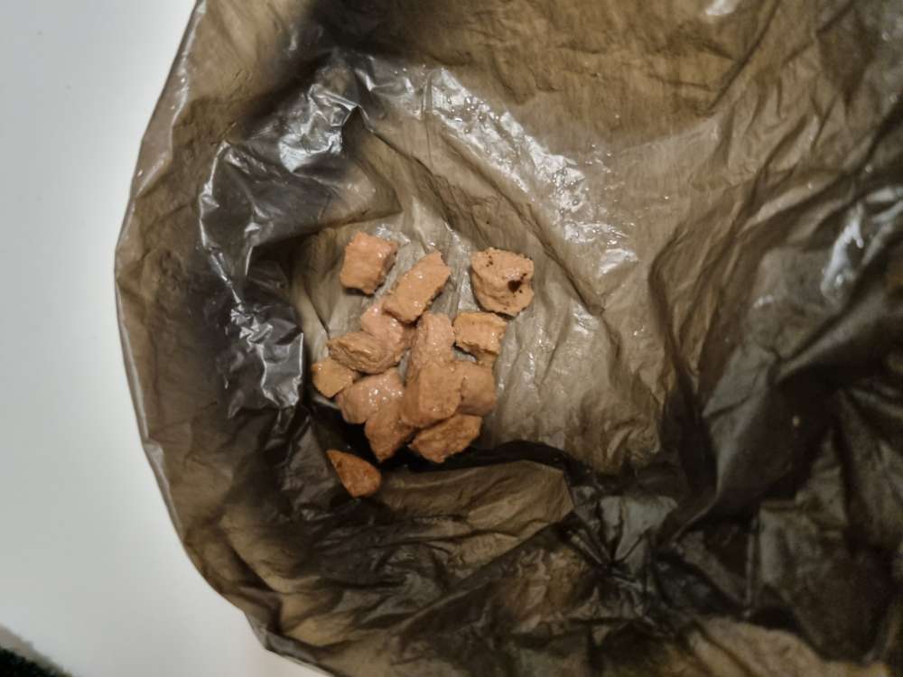 Giftköder-Nassfutter-Profilbild