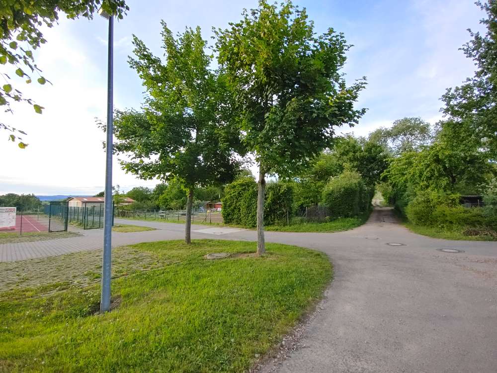 Giftköder-Achtung: Kurioser Knochen am Feldweg-Profilbild