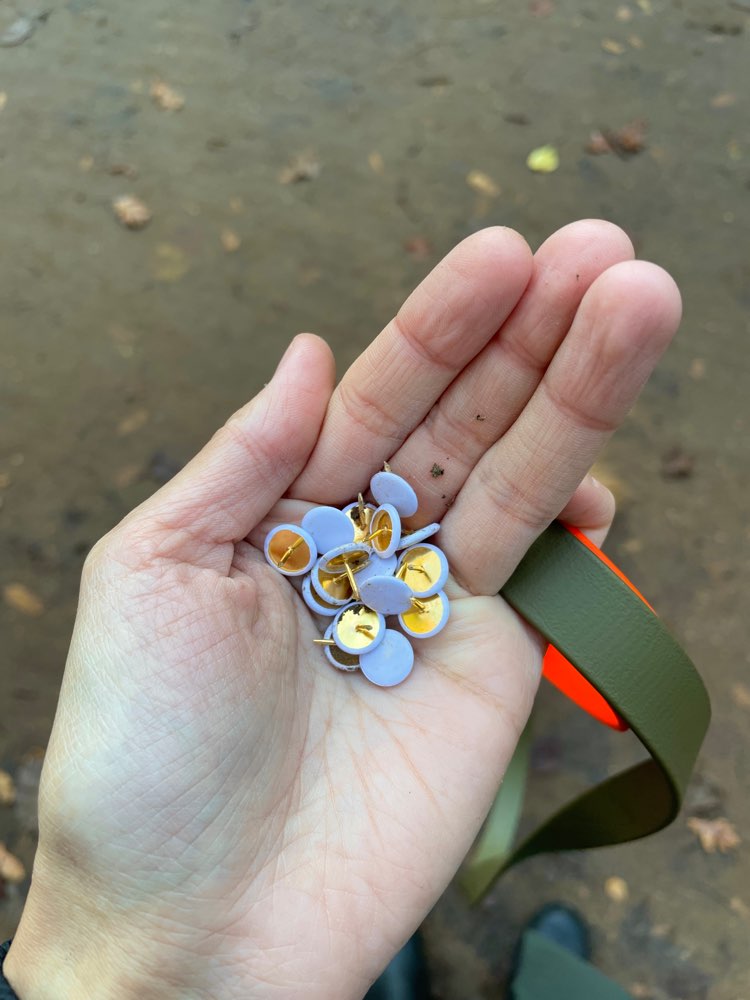 Giftköder-Reißzwecken auf dem Weg-Profilbild