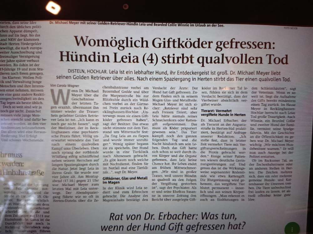 Giftköder-Hündin stirbt qualvoll-Profilbild