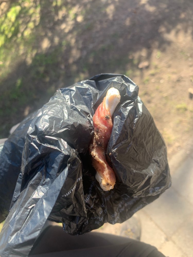 Giftköder-Knochen mit Speck oder Schinken Gefunden-Profilbild