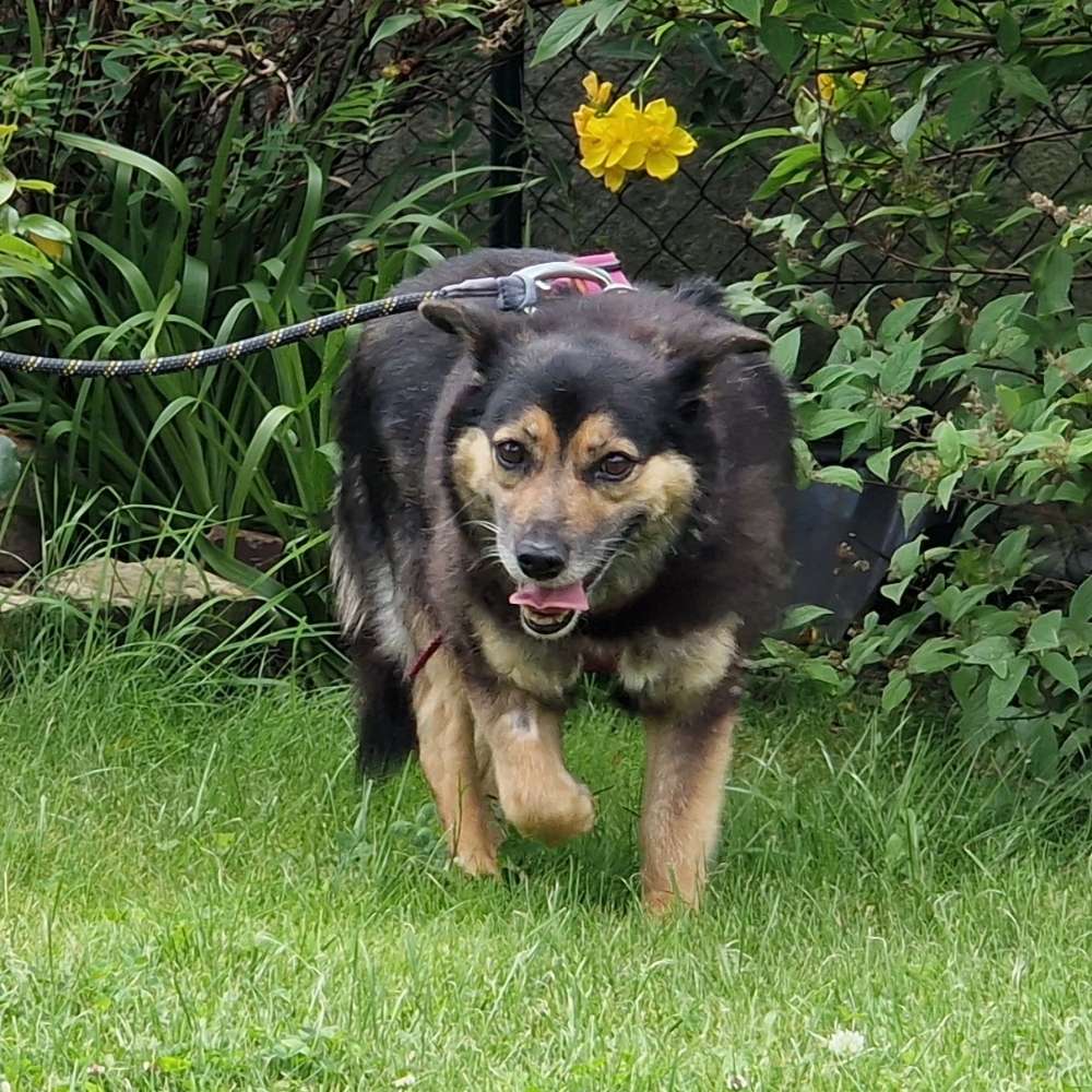 Suchmeldung-Sandy-Profilbild