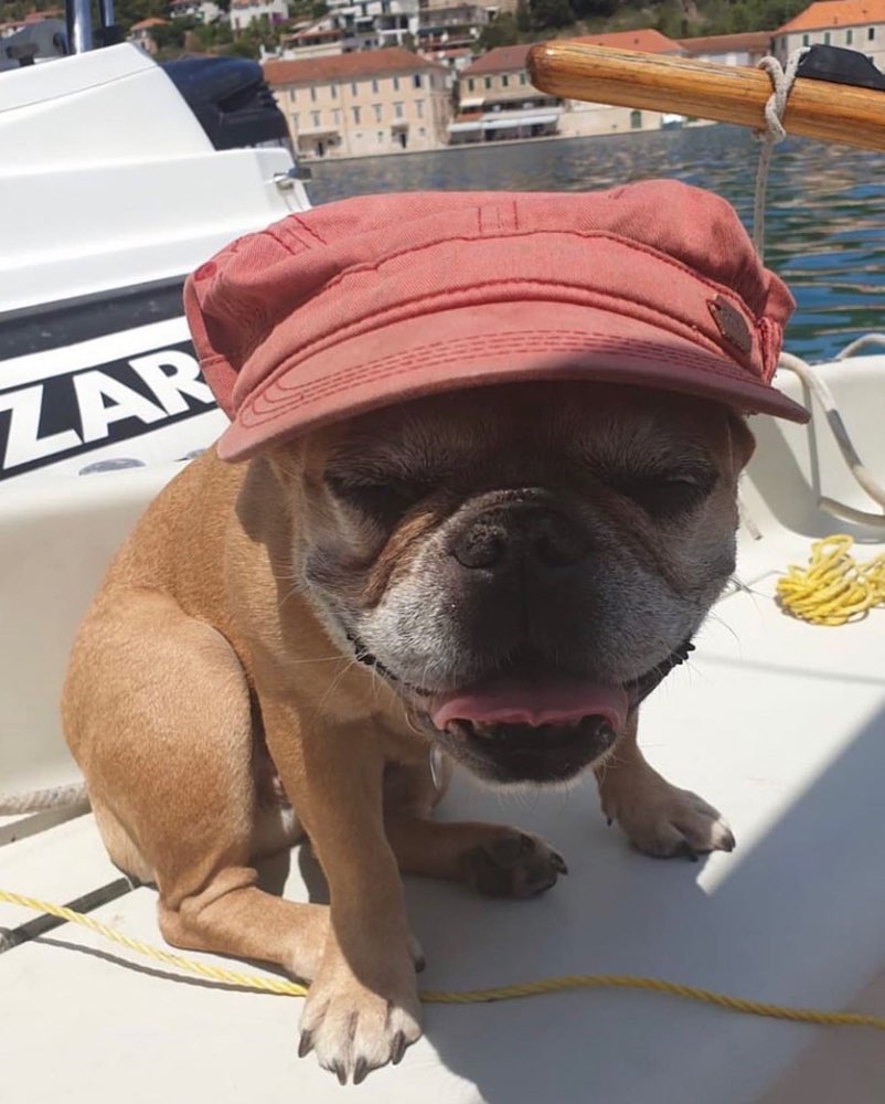 Giftköder-Giftköder Zahnradbahnstraße-Profilbild