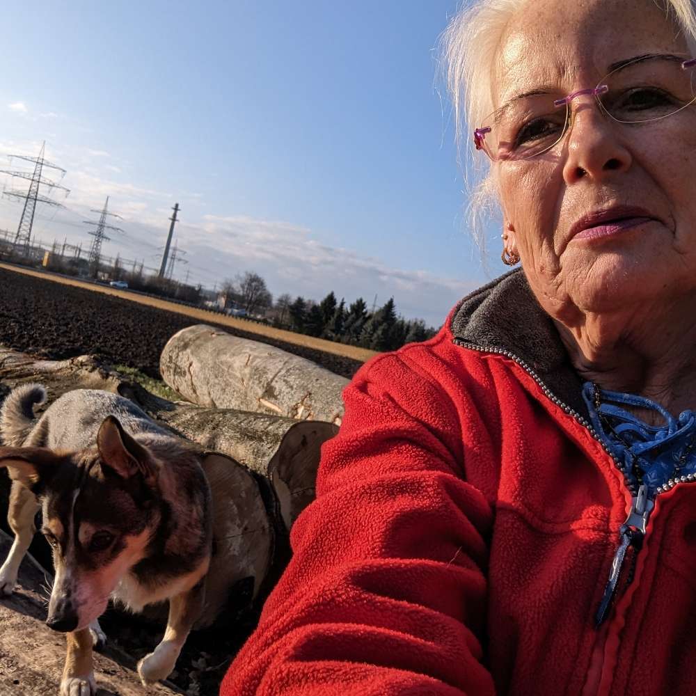 Hundetreffen-Gemeinsame Gassi gehen 🐾👣-Profilbild