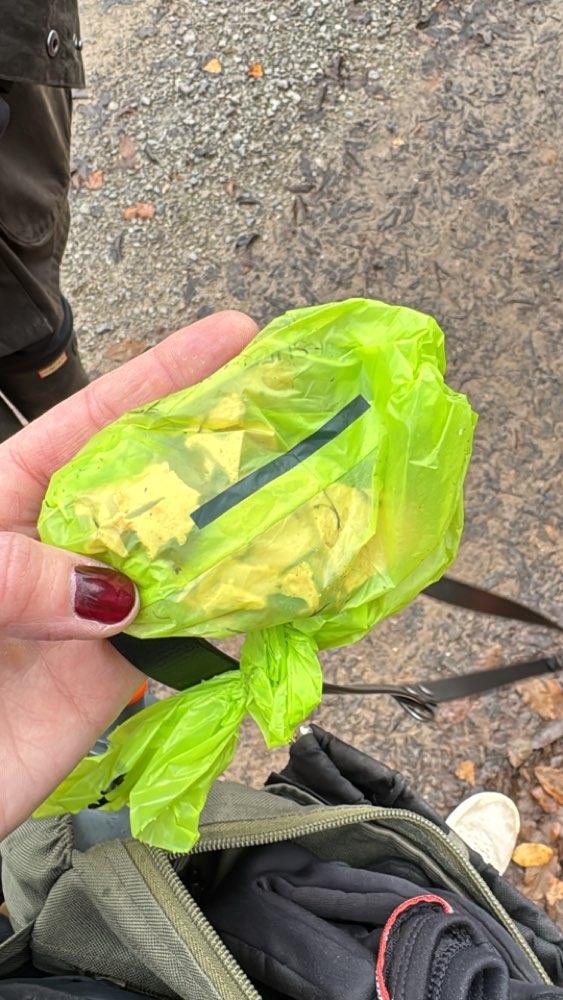 Giftköder-Giftköder-Profilbild