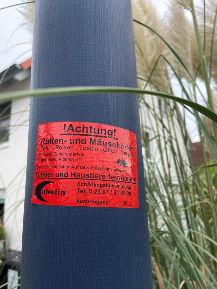 Giftköder-Rattengift Nähe Bushaltestelle-Profilbild