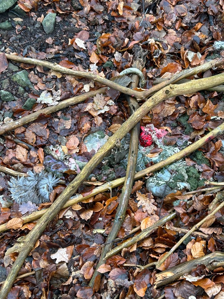 Giftköder-Kadaver (Tier unbekannt)-Profilbild