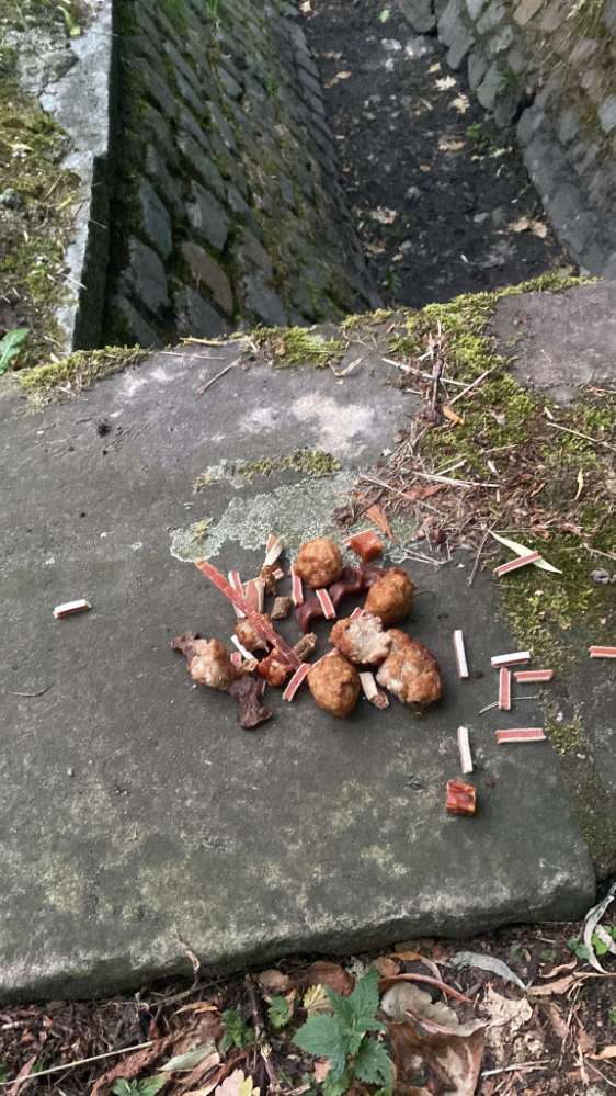 Giftköder-Haufen Hundeleckerlis-Profilbild