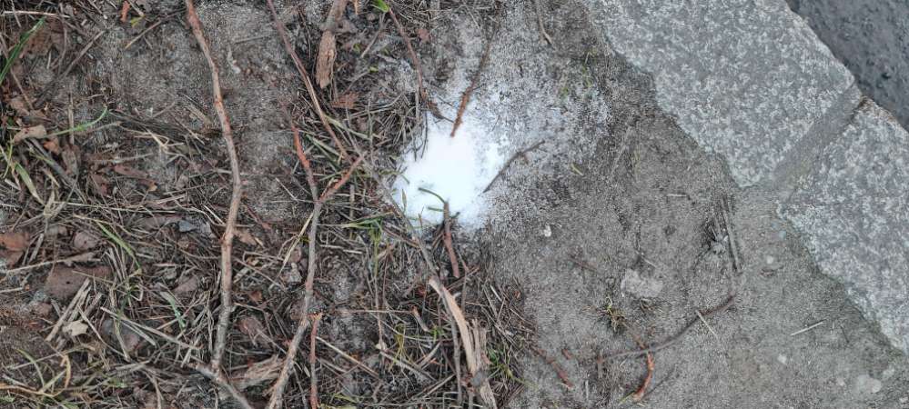 Giftköder-Weißes Pulver-Profilbild