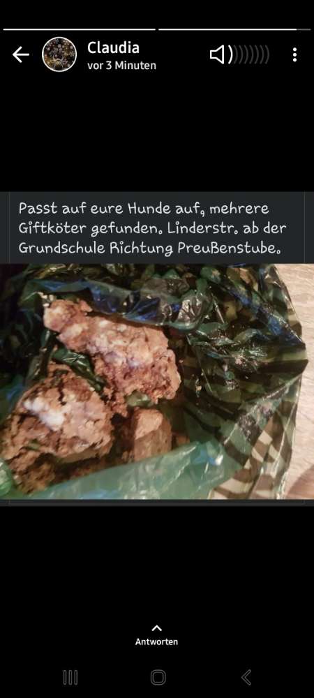Giftköder-Giftköder-Profilbild