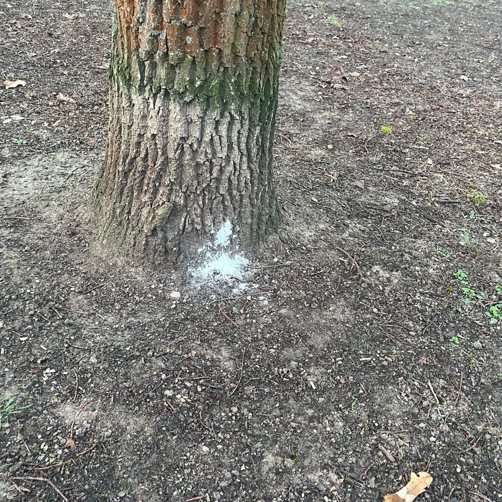 Giftköder-Weißes Pulver an verschiedensten Stellen-Profilbild