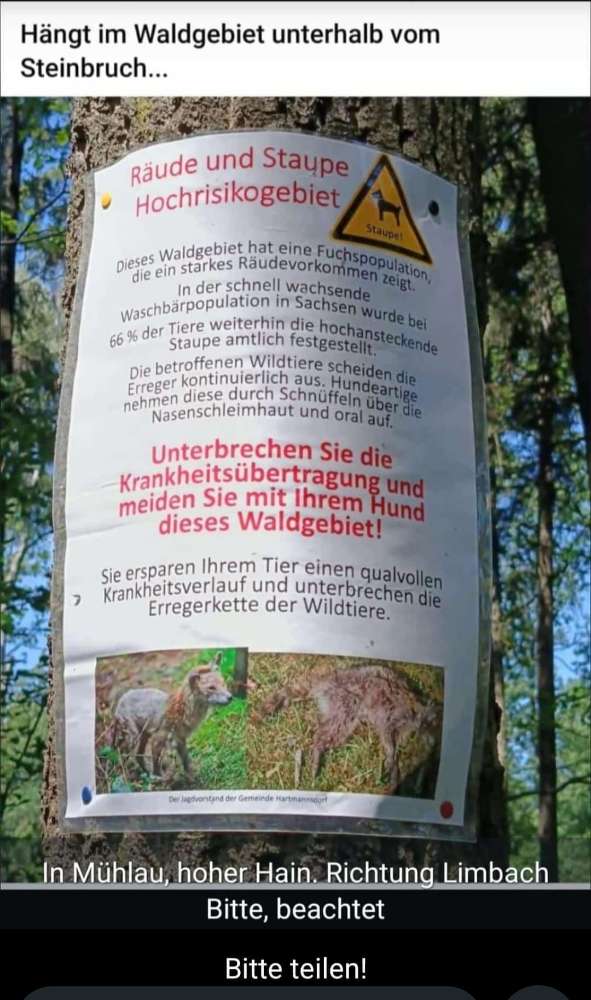 Giftköder-Staupe und Räude!-Profilbild