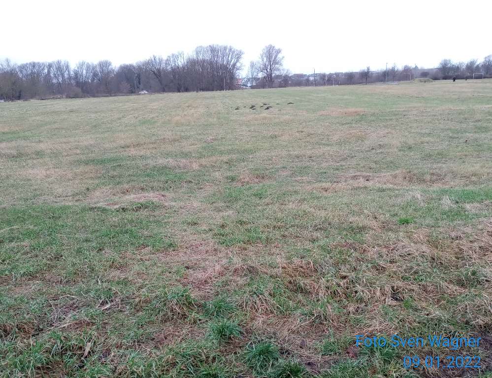 Giftköder-Gift ausgelegt-Profilbild