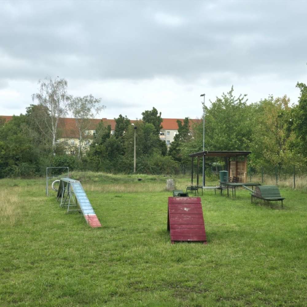 Hundetreffen-Hundespielplatz Erfurt-Profilbild