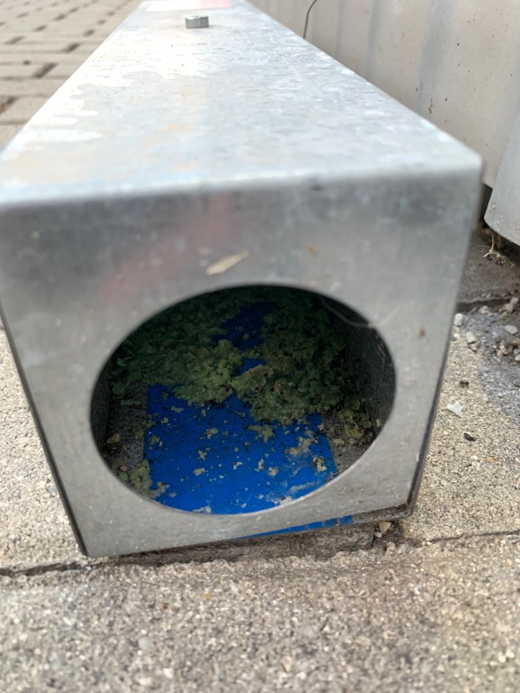 Giftköder-Rattengiftboxen-Profilbild