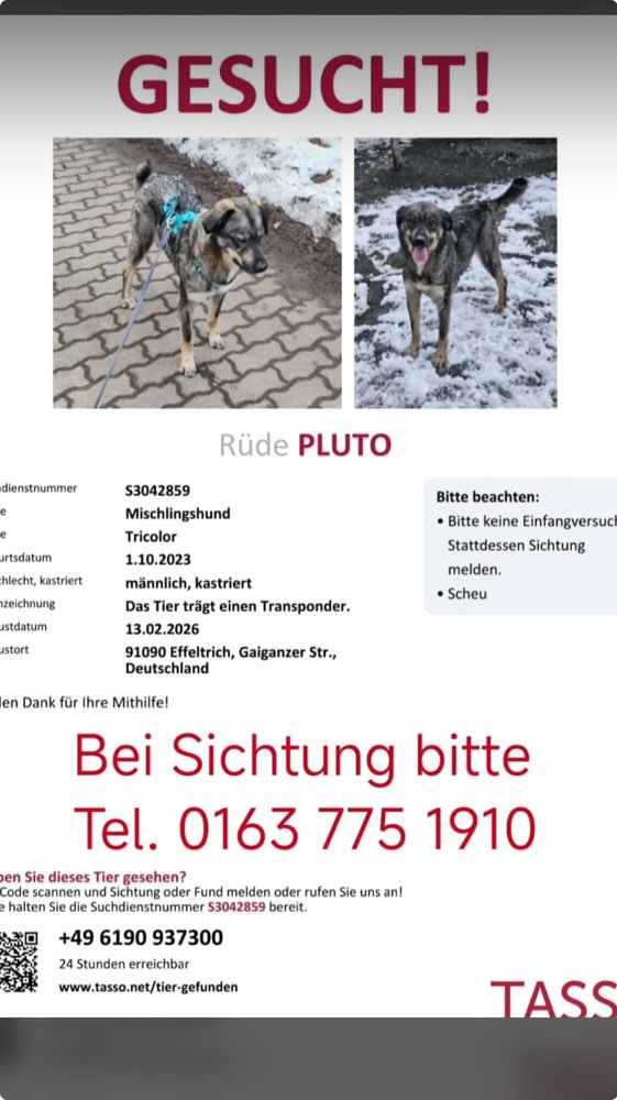 Suchmeldung-Pluto-Profilbild