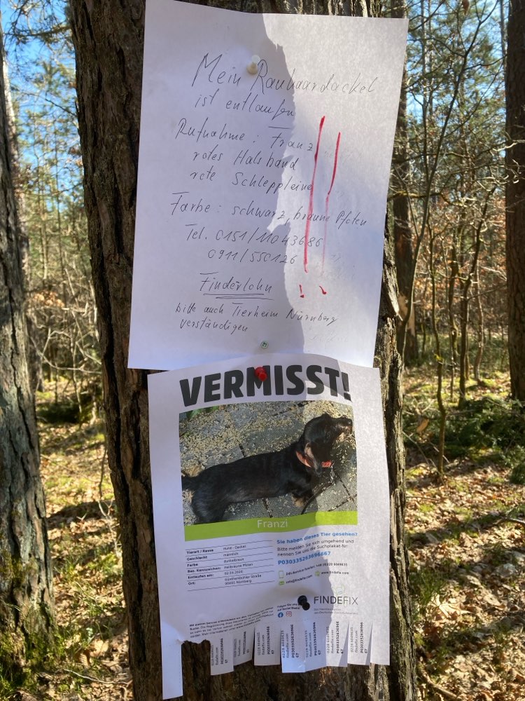 Suchmeldung-Franz-Profilbild