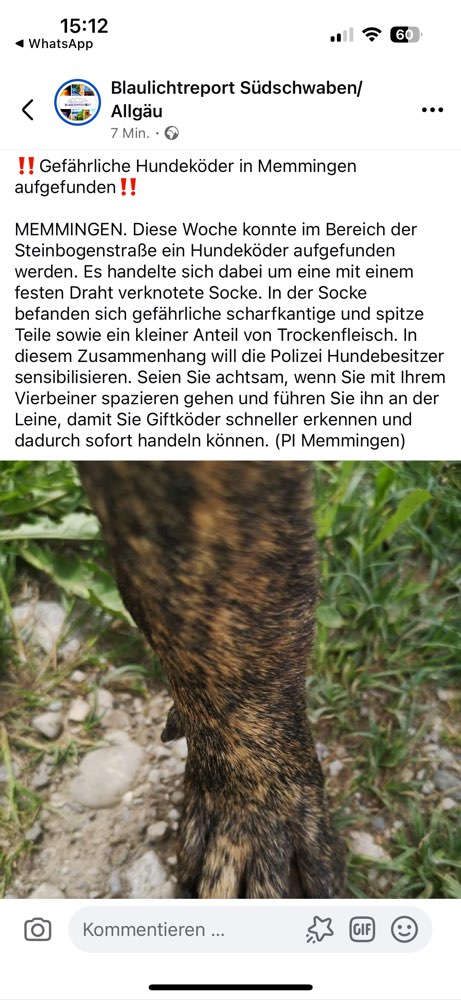 Giftköder-Giftköder-Profilbild