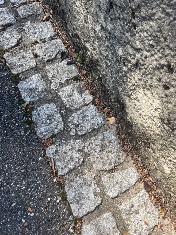 Giftköder-Glasscherben-Profilbild