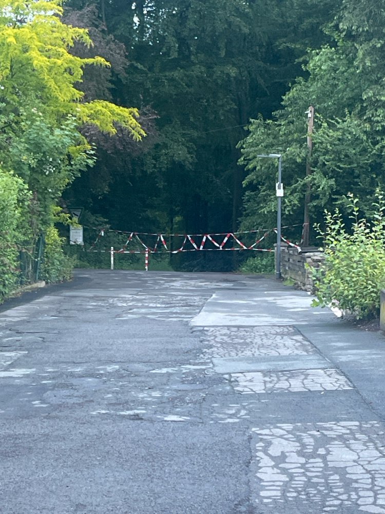 Giftköder-Eichen-Prozessionsspinner-Profilbild