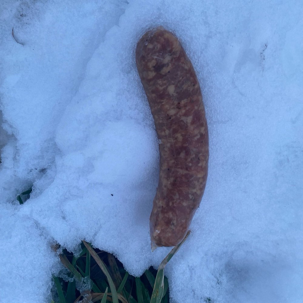 Giftköder-Ausgelegtes Fleisch-Profilbild