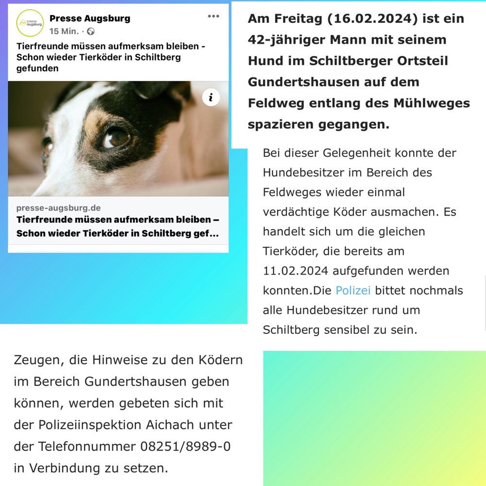 Giftköder-Giftköder-Profilbild