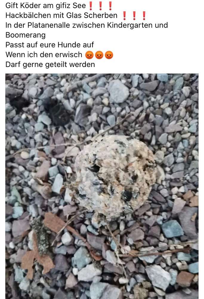 Giftköder-Giftköder gefunden am 13.7.20-Profilbild