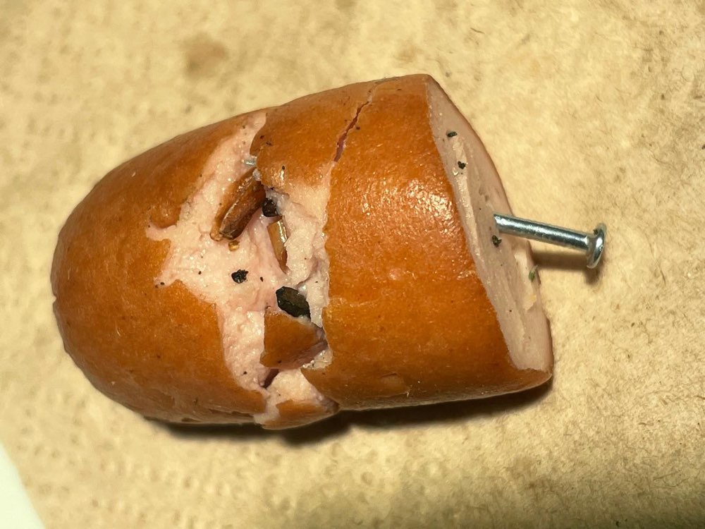 Giftköder-Wurst mit Nägeln eventuell Gift-Profilbild