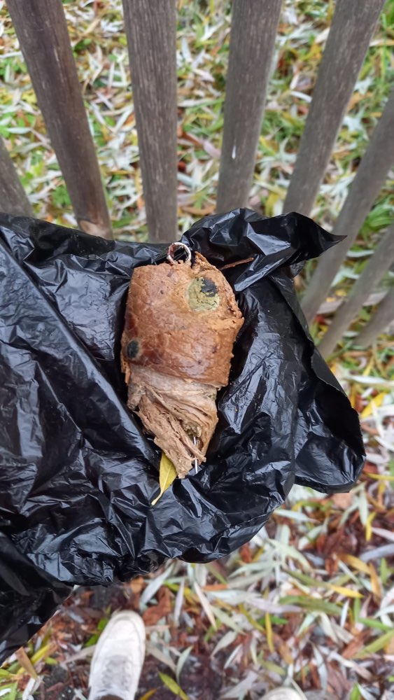 Giftköder-Roulade mit Nadel und evtl Gift-Profilbild