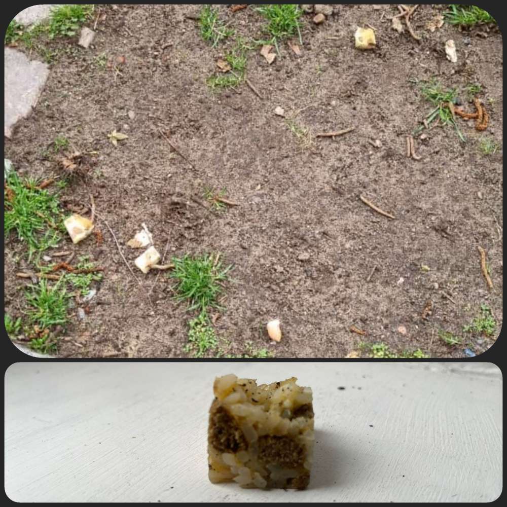 Giftköder-Mögliche Giftköder-Profilbild