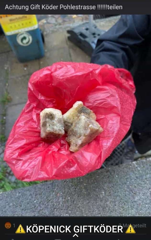 Giftköder-Mögliche Giftköder-Profilbild