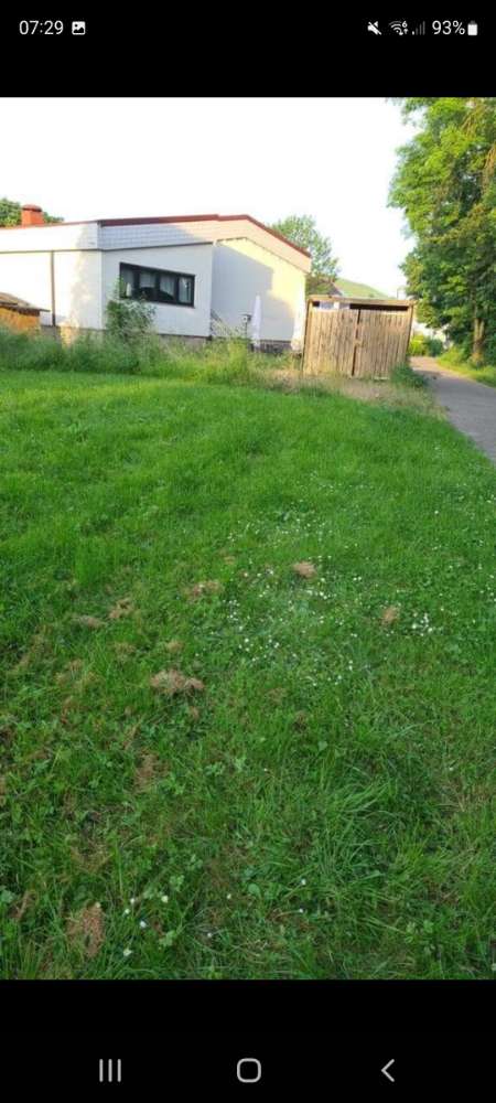 Giftköder-Giftköder-Profilbild